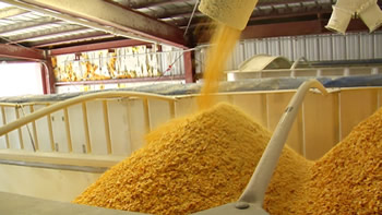 Agriculture